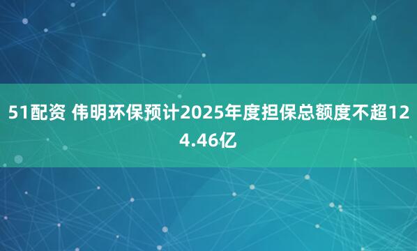 51配资 伟明环保预计2025年度担保总额度不超124.46亿