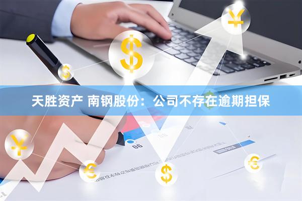 天胜资产 南钢股份：公司不存在逾期担保